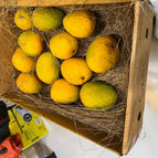 Devgad Alphonso( 2.7 - 3 Kgs )