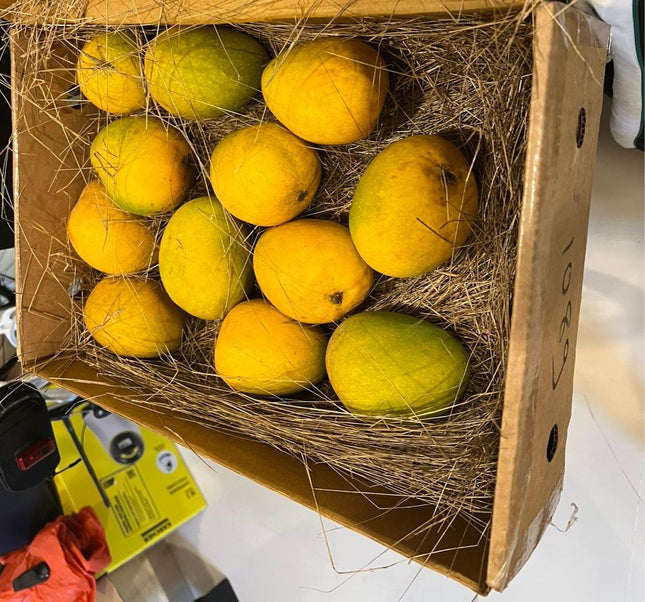 Organic Alphonso Mangoes