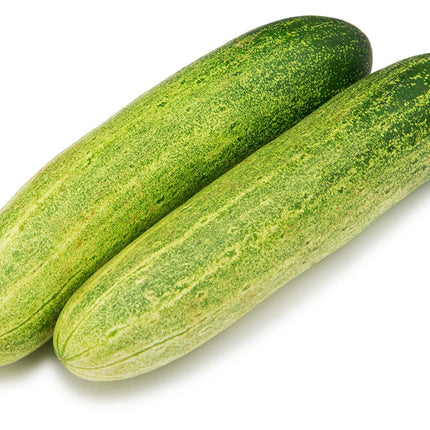 Fresh Indian Cucumber