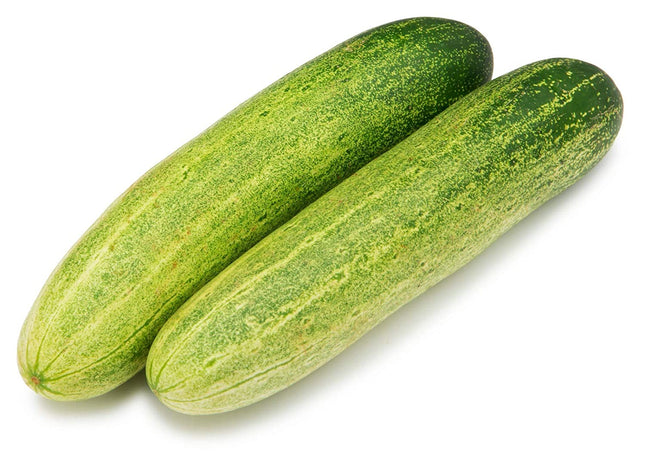 Fresh Indian Cucumber