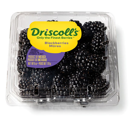Fresh Driscoll's Blackberries