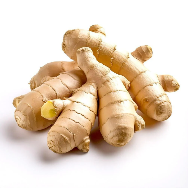 Fresh Indian Ginger
