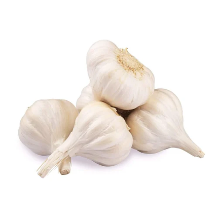 Fresh Indian Whole Garlic