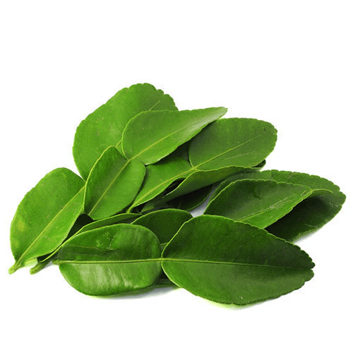 Fresh Lime Leaves