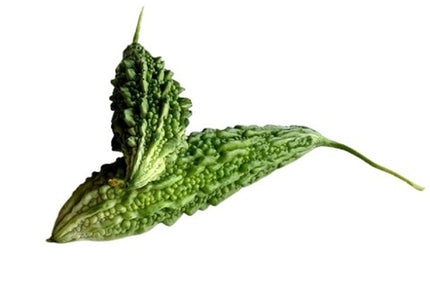 Fresh Long Indian Bitter Gourd