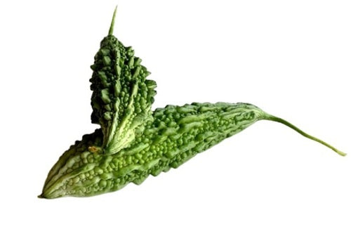 Fresh Long Indian Bitter Gourd