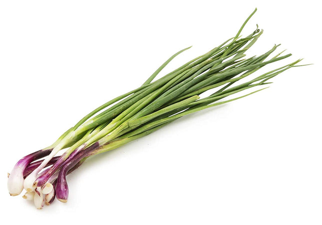 Fresh Spring Onions