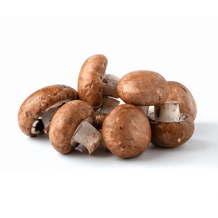 Fresh Swiss Brown Mushrooms