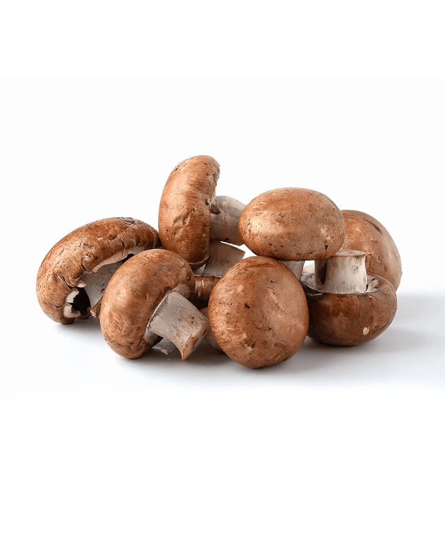 Fresh Swiss Brown Mushrooms