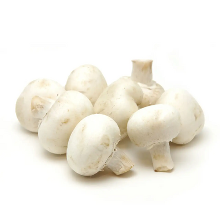 Fresh White Button Mushroom