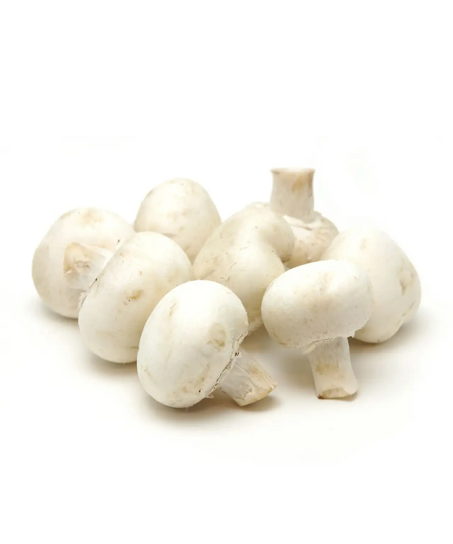 Fresh White Button Mushroom