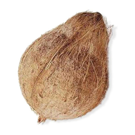 Fresh Whole Indian Coconut