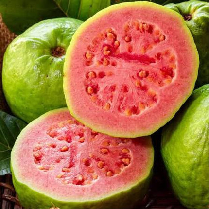 Guava - Pink