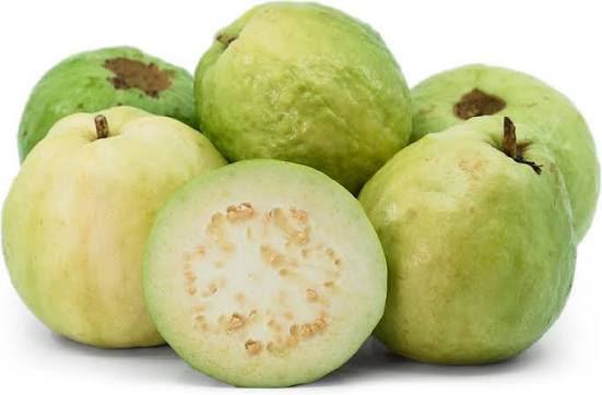 Peru - White Guava
