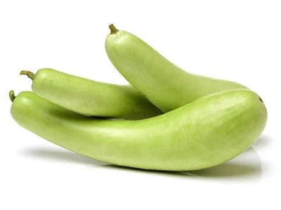 Fresh Indian Bottle Gourd