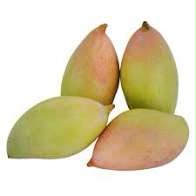 Totapuri Mango