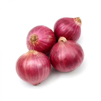 Fresh Indian Big Onions