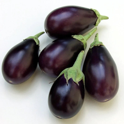 Fresh Indian Brinjal (Eggplant)
