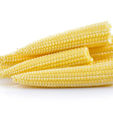 Fresh Baby Corns