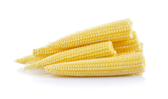 Fresh Baby Corns