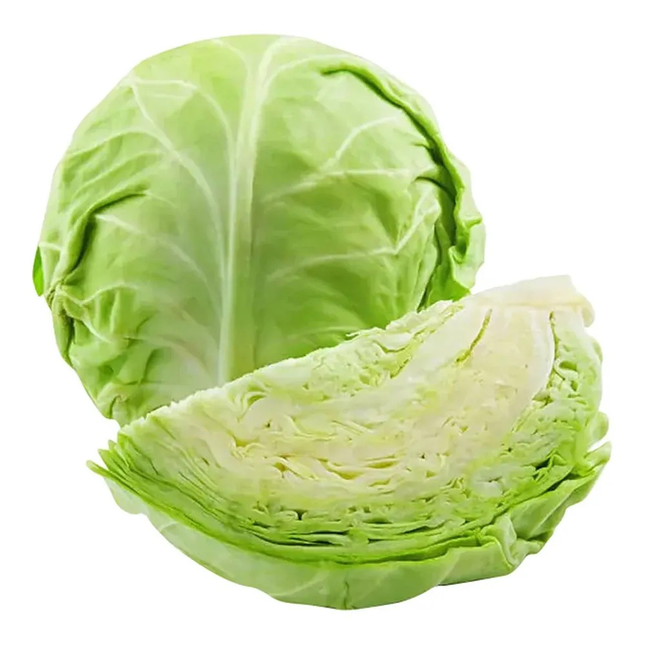 Fresh Cabbage