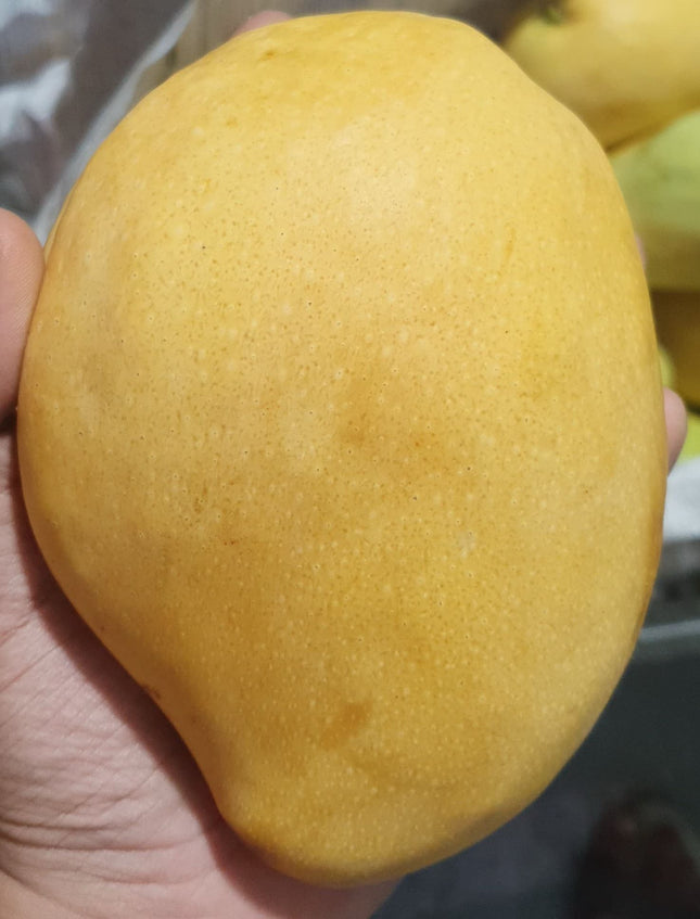 Badami Mango