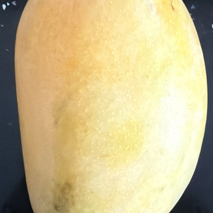 Kesar Mango