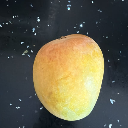 Ratnagiri Alphonso Mango